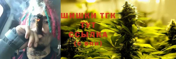 шишки Михайлов