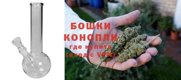шишки Михайлов
