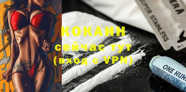 шишки Михайлов